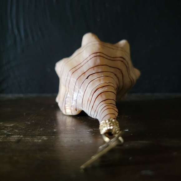 2011 Neiman Marcus Shell Christmas Ornament, Whelk Shell Ornament - Picture 6 of 8